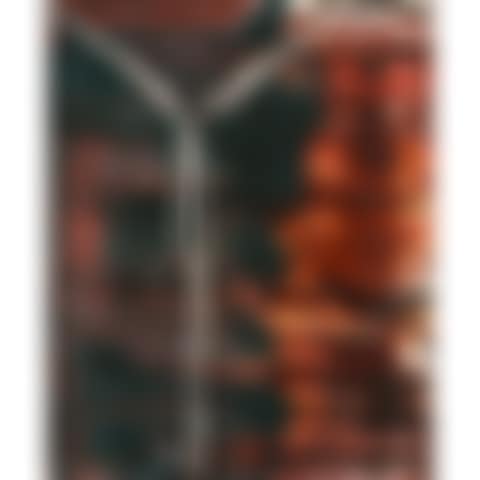 THE WORLD OF WISDOM (preview)
