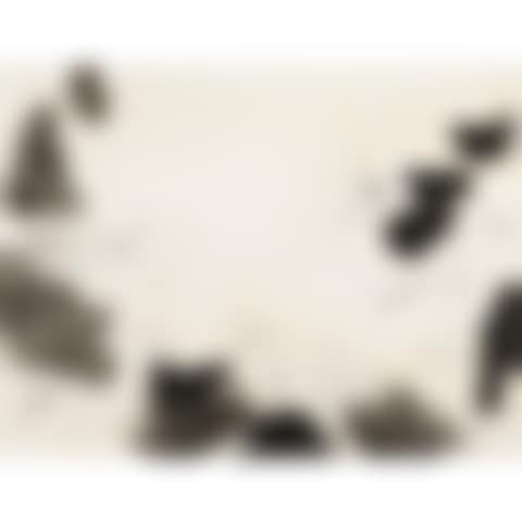FROM ISLAND 8 (preview)