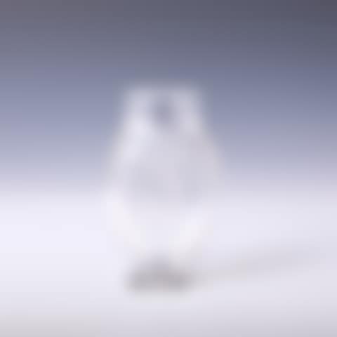 VENUS VASE (preview)
