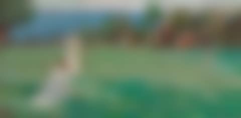 The Croquet Party (preview)