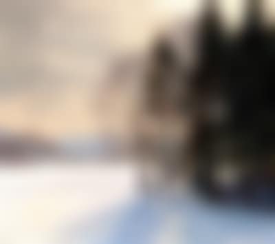 Der Waldrand (preview)