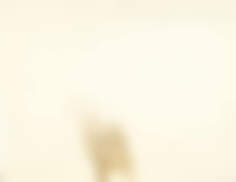 Project for Extraterrestrials No. 8 - Reviving the Ancient Signal Towers (9) (preview)