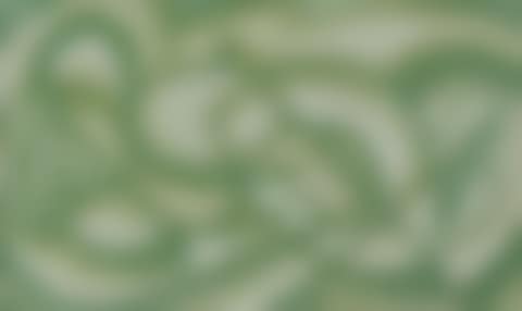 Figure vert en repos (preview)