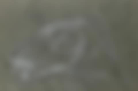 Composition (preview)