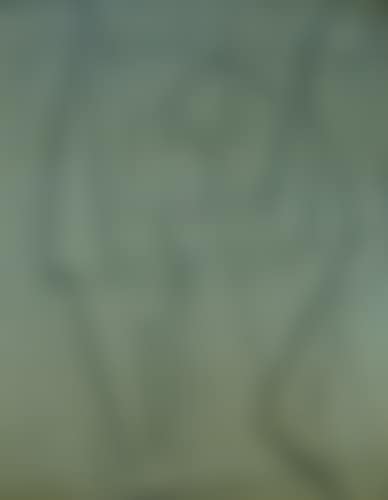 Composition (preview)