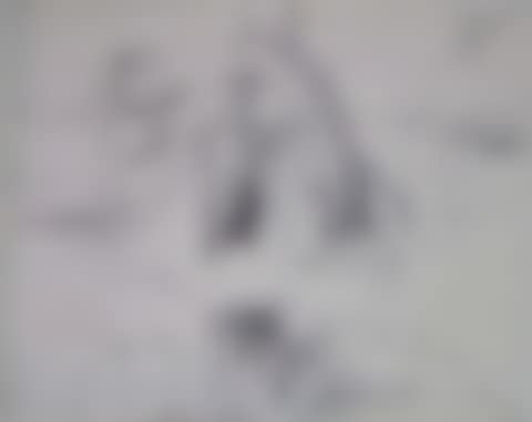 La nacelle (preview)