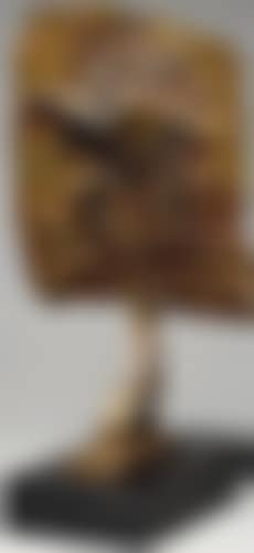 Variation 2 (preview)