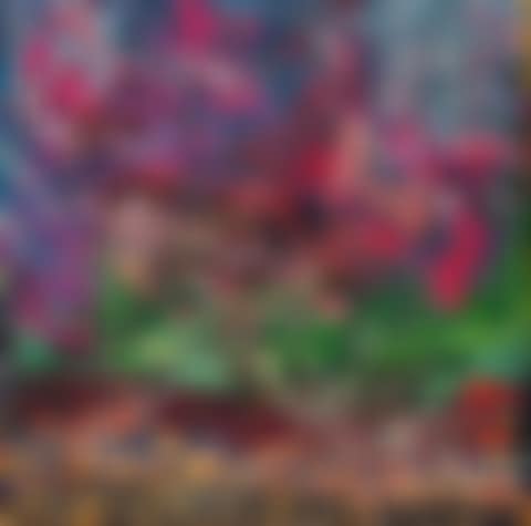 THE STATE OF NOTHING (preview)