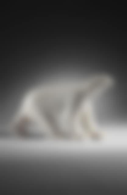 Ours blanc (preview)