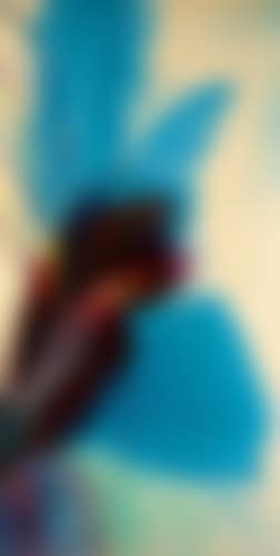 Sans titre (preview)