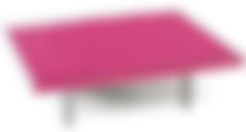 Table rose (preview)