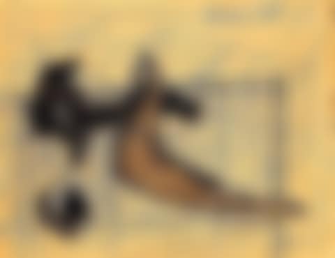 Racines, machoire, oursin et aubergine (preview)