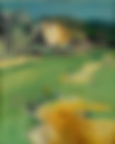 La Vallee du Rhone (preview)