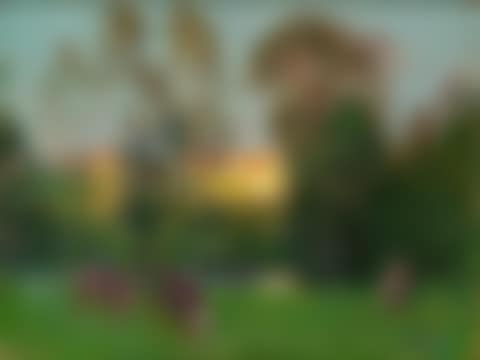 Les vaches au pre (preview)