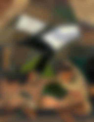 Composition aux personnages (preview)