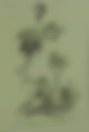 Composition (preview)