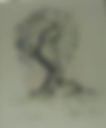 3 œuvres sur papier (preview)