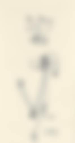 Composition (preview)
