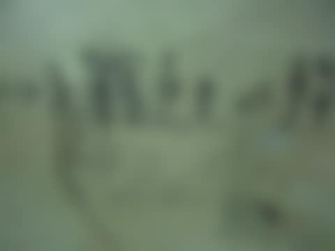 Sans titre (preview)