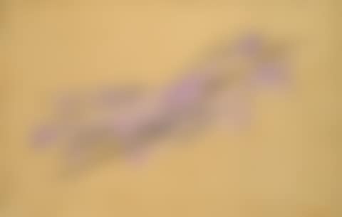 Composition (preview)