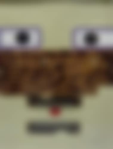 Visage (preview)