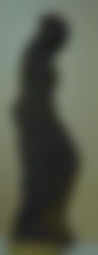 Venus de Milo (preview)