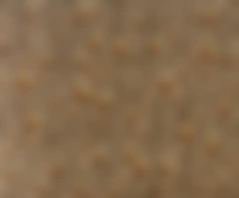 Recurrence (preview)