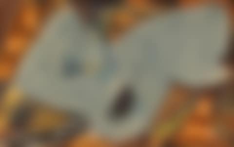 Leda et le cygne (preview)