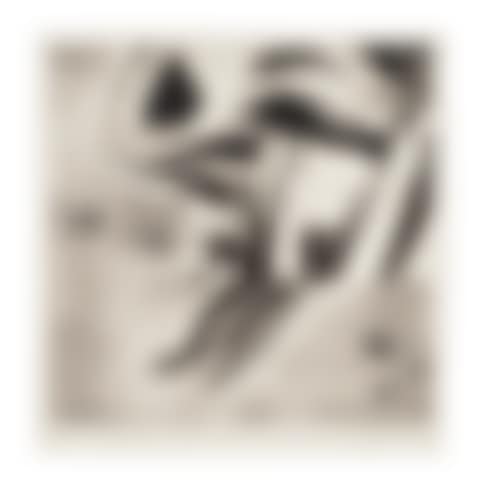 Zone (preview)