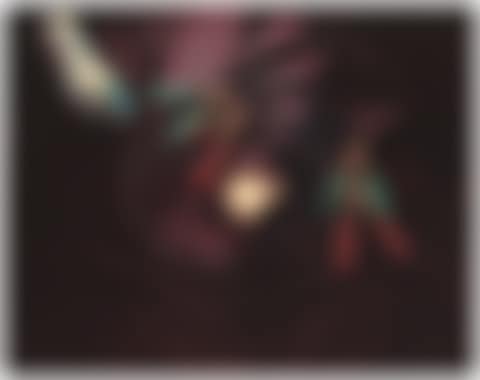 Open, from Tropical Fish Series (preview)