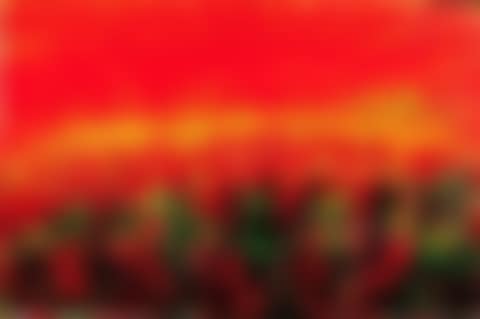 SYPFONNIA D'AUTUNNO (preview)