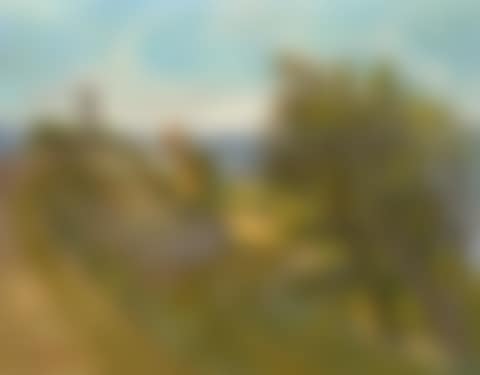 Paysage (preview)