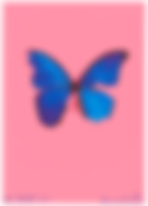 Blue Butterfly, from: In the darkest Hour there may be Light (preview)