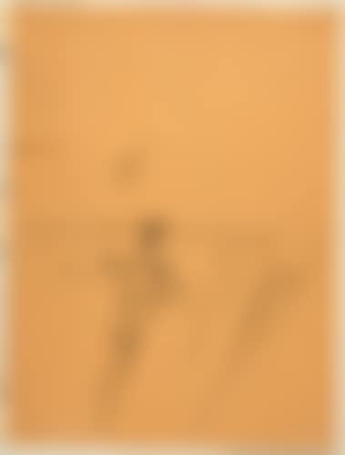 Figures anamorphiques (études) (preview)