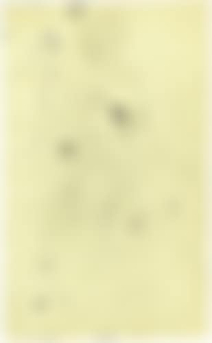 Dessin érotique, étude pour le portrait de 'Madame Phillips', 'Étude pour le portrait de monsieur X, corpusculaire, nus érotiques (preview)