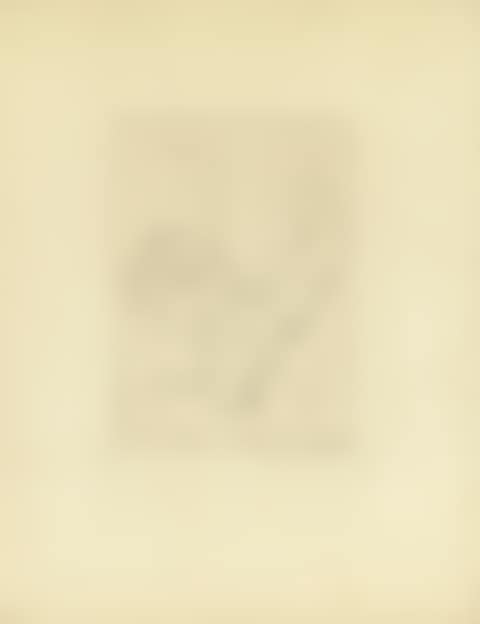 Bouquet II (preview)