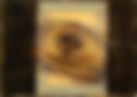Don Canuto (preview)