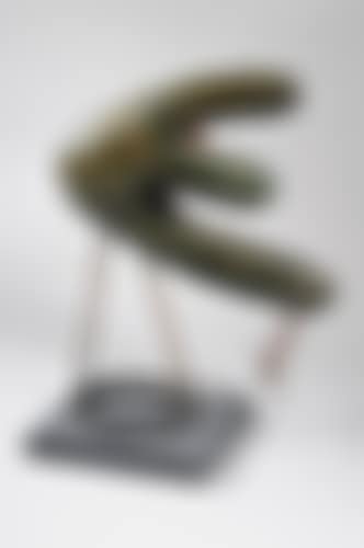 Coq au ver de terre (preview)