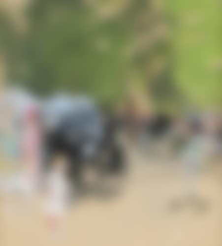 Promenade au bois (preview)