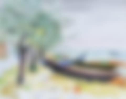 Barques à Bouzigues (preview)