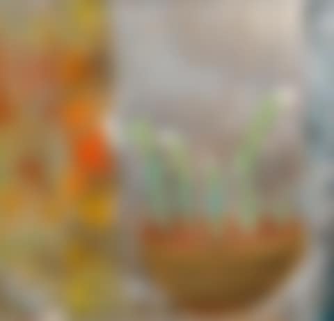 February (preview)