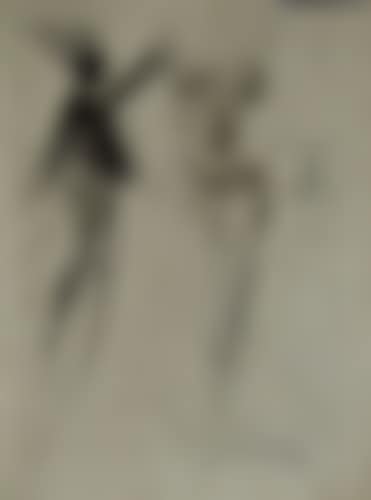 ENSEMBLE DE 2 GRAVURES (preview)