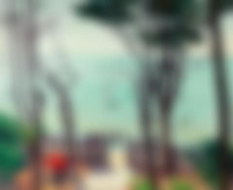 Vue du Pyla (Arcachon) (preview)
