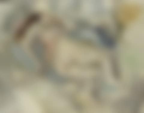 Femme allongée (preview)