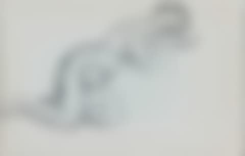 Nu assoupi (preview)