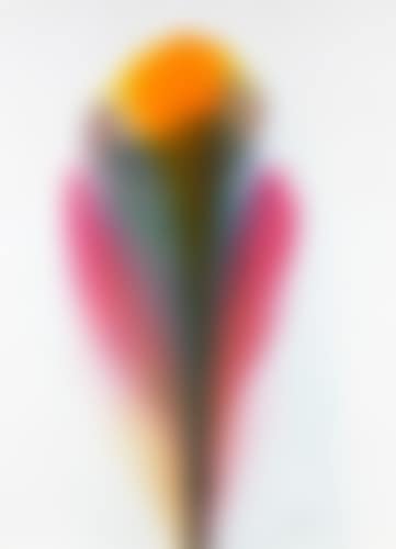 Composition (preview)