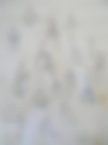 Galipette V (preview)