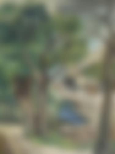 Paysage (preview)