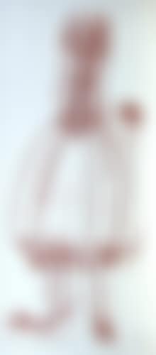 AUGUSTE BOLTE (preview)
