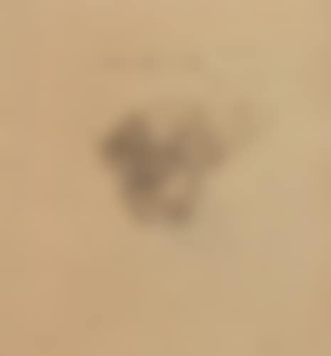 SET OF 2 ENGRAVINGS (preview)